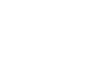 fancy fan